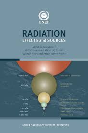 New Publication from UNEP